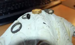 4 ring day (56).webp 4 ring day (56).webp