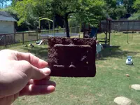 IMG_20120412_123428.webp