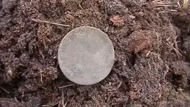 M1570005.webp