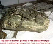 DSCF1478.webp