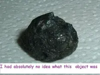 DSCF1481.webp