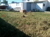 2012-05-22 18.14.38-kapla.webp