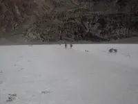 DSCN2814.webp