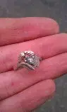 ringg2.webp