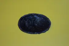 US belt buckle.webp