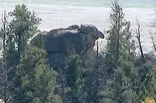 close crop (Large).webp