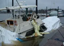 viking salvage1.webp