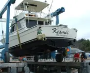 hauled out.webp