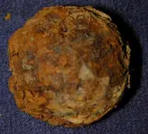 grapeshot.webp