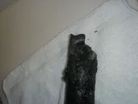 TC 018.webp