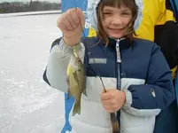 Mo fish.webp
