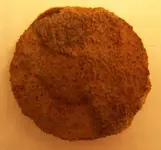 coinpic2.webp