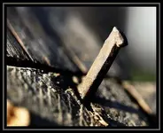 nail.webp
