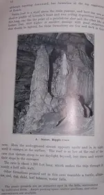 Page 4 & 5.webp