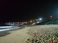 DSC00169.webp
