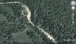 cabin-2dowsed.webp