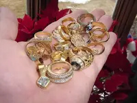 fla gold -1 trip.webp