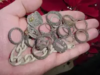 fla silver - 1 trip.webp
