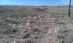 IMAG0199.webp