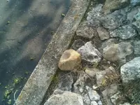 IMG01560-20120426-1753.webp