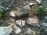 IMG01561-20120426-1753.webp