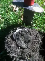 coin purse dirt.webp