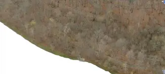 old house  2.webp