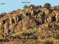 12242011 320-dogther-2.webp