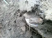 photo1.webp