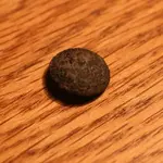 NH FINDS 02-10 003.webp