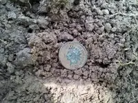 20120327_160641.webp