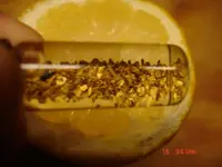 lemon close.webp