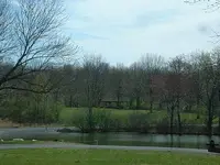 Picture 097.webp