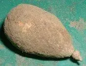 Picture 120.webp