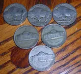 DSCN4264.webp