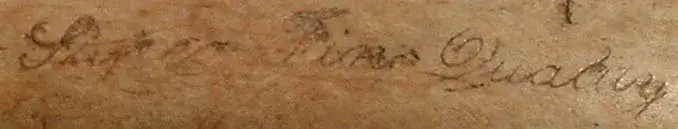 quak 005.webp