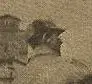 Baseball Picture - Scanned - Nose and Ears.webp