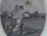ball grain.webp