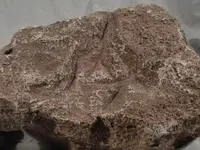 rock 006.webp rock 006.webp