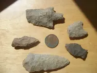 dig finds 001 (1024x768).webp
