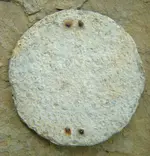 DSCN3254.webp