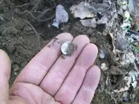 APRIL 15TH SPANISH SILVER 010.webp
