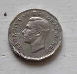 DSCN4284.webp