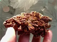 poop.webp