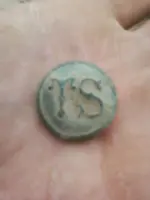 TS Button.webp