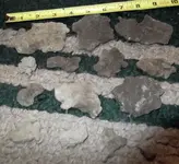 4_4_2012 field of lead.webp