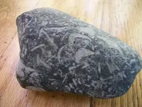 rock_002.webp