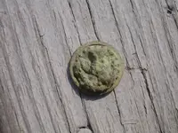Button close.webp