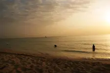 DSC01310.webp
