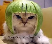cat with watermelon helmet.webp